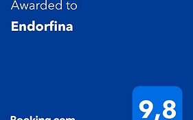 Endorfina